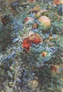 John Singer Sargent Pomegranates (mk18) Spain oil painting artist